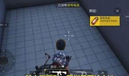 和平精英下线爆料视频,揭秘游戏内幕与未来动向