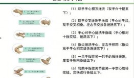 爆料新闻主题怎么写,爆料新闻背后的真相与影响